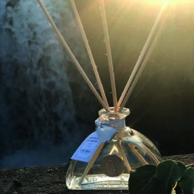 Huonetuoksu vanilja 100ml