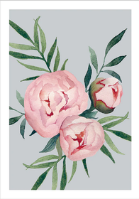 Postikortti pioni Henna Adel 