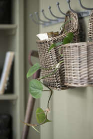 Seinäkori rottinkia