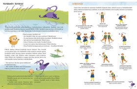 Pikkulin metsä soi - iloinen laulukirja