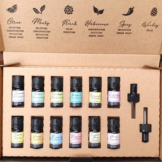 Eteeristen öljyjen setti 12 x 5 ml