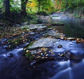 Issue M -tuoksuöljy 10 ml