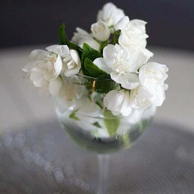 I Adore -tuoksuöljy 10 ml