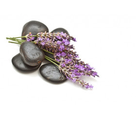 Laventelimetsä-tuoksuöljy