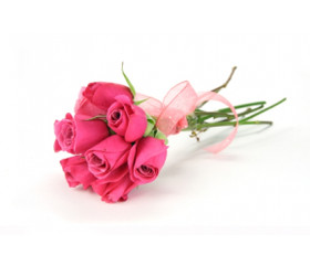 Teeruusu-tuoksuöljy