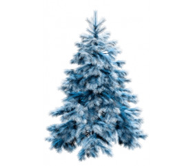 Sinikuusi-tuoksuöljy