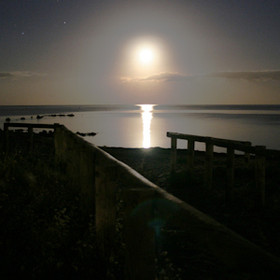 Black Cafe -tuoksuöljy