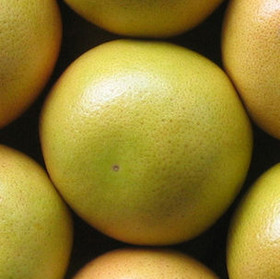 Eteerinen greippiöljy