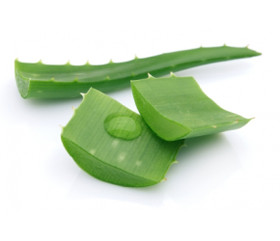 Aaloe 200x jauhe, luomu, 10 g