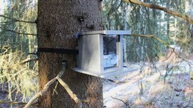 KOTA®-Kopsu, oravien ruokintalaite