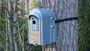 KOTA®- Robinhouse linnunpönttö.