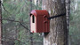 KOTA®- Robinhouse linnunpönttö.