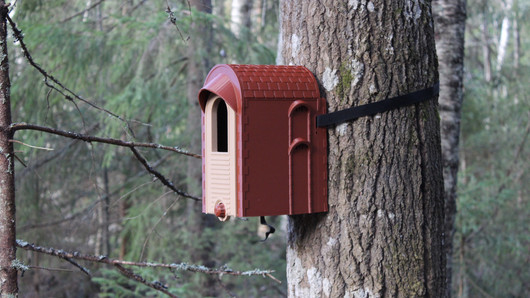KOTA®- Robinhouse linnunpönttö.