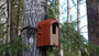 KOTA®- Robinhouse linnunpönttö.