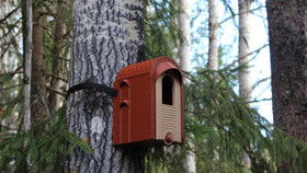 KOTA®- Robinhouse linnunpönttö.
