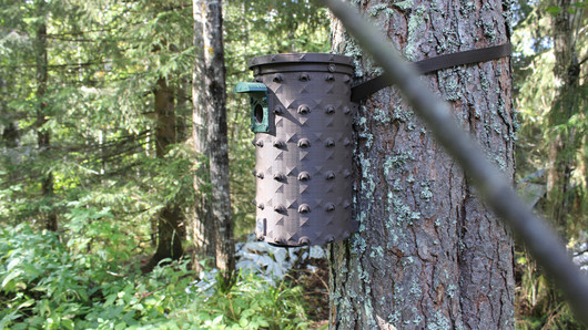 KOTA®- Arvo linnunpönttö