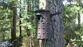 KOTA®- Arvo linnunpönttö