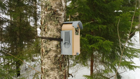 KOTA®- Rauha linnunpönttö