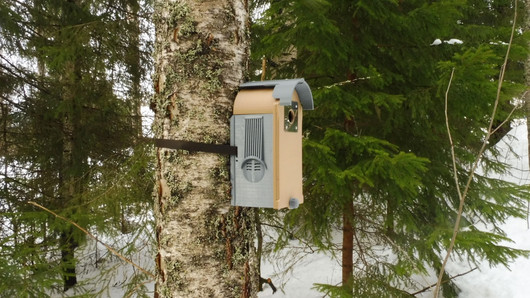 KOTA®- Rauha linnunpönttö