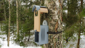 KOTA®- Rauha linnunpönttö