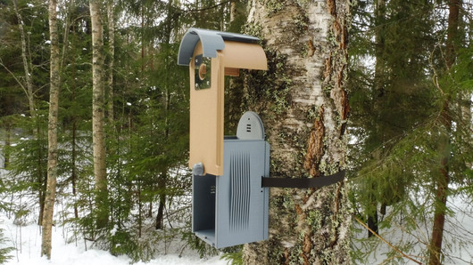 KOTA®- Rauha linnunpönttö