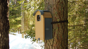 KOTA®- Pilvi linnunpönttö