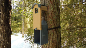 KOTA®- Pilvi linnunpönttö