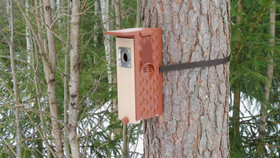 KOTA®- Satu linnunpönttö.