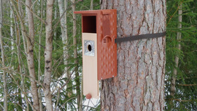 KOTA®- Satu linnunpönttö.