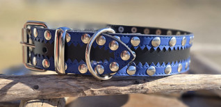 40 mm koirankaulapanta musta sininen