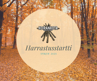 Harrastusstartti (4krt) alk. To 7.8.2025 / Pilottiryhmä 