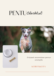 Pentu Checklist 
