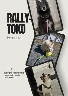 Rally-toko harrastajan bonussivut - Sinulle!