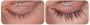 Lashtoniic ripsiseerumi 4.8ml