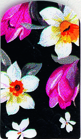 Tarramanikyyri nail stickers