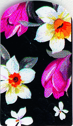 Tarramanikyyri nail stickers