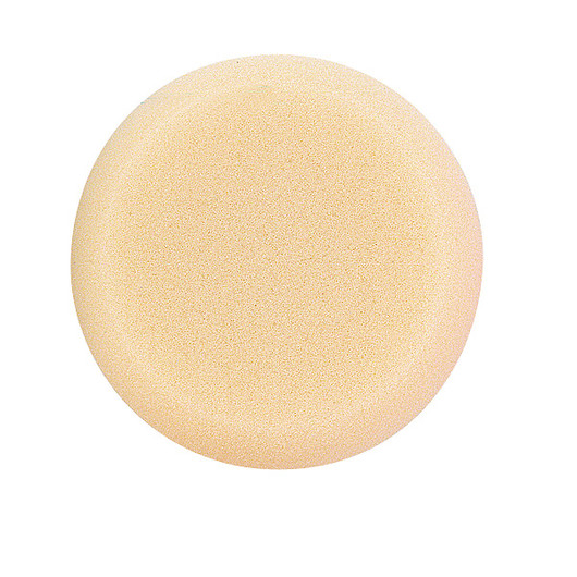 Cleansing sponge