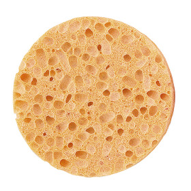 Natural body sponge