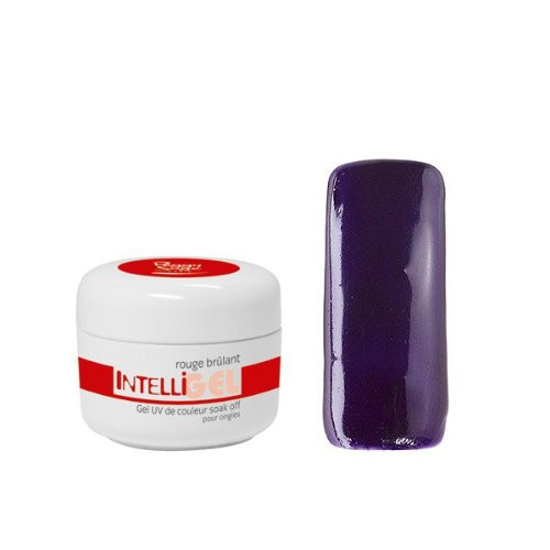 INTELLI GEL Color 5g - cream aubergine