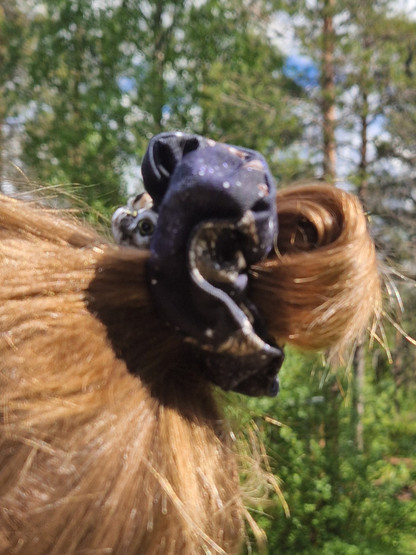 SAMMALhiusdonitsi YÖPÖLLÖT