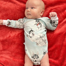 KUURA body HUSKYT 68cm trikoo