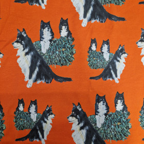 trikoo LAPPARI oranssi 1m pala leveys 160cm