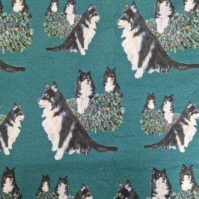 joustocollege LAPPARI 80cm pala leveys n. 160cm