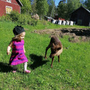 USVA liivimekko KÄRHÖT 62-92cm trikoo