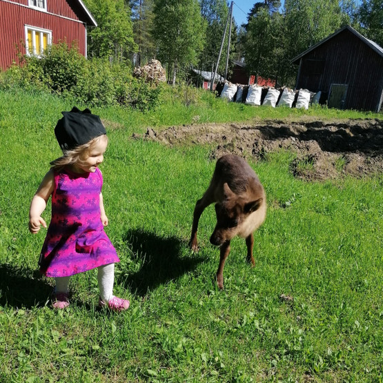 USVA liivimekko KÄRHÖT 62-92cm trikoo