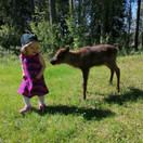 USVA liivimekko KÄRHÖT 62-92cm trikoo