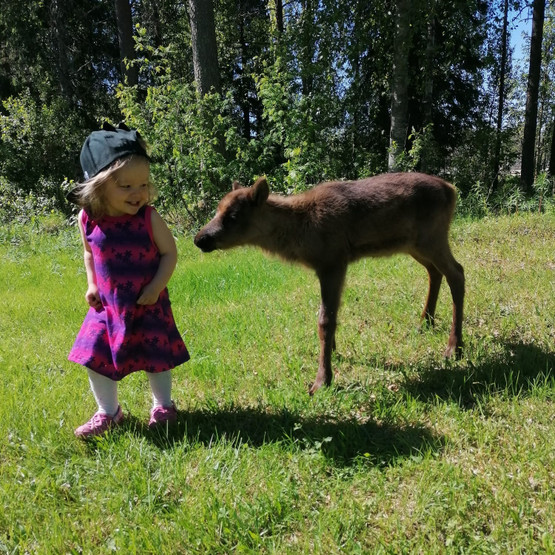 USVA liivimekko KÄRHÖT 62-92cm trikoo