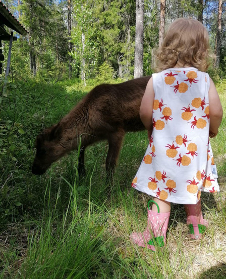 USVA liivimekko HILLAKRANSSI  trikoo 86-140cm