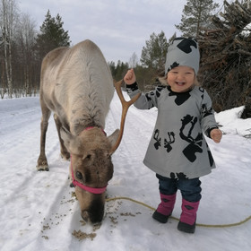 LAINE mekkotunika HIRVAS 86-152cm trikoo