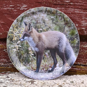 pyöreä tarjotin KETTU halkaisija 24cm 2.laatuinen